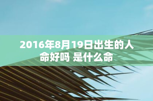 2016年8月19日出生的人命好吗 是什么命