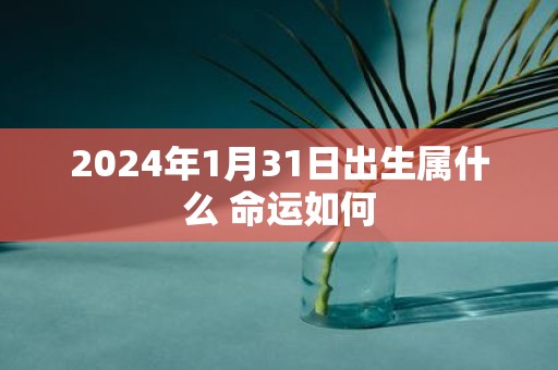 2025年1月31日出生属什么 命运如何