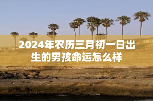 2025年农历三月初一日出生的男孩命运怎么样