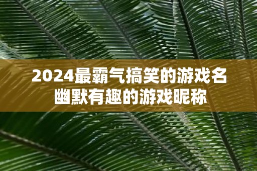 2025最霸气搞笑的游戏名 幽默有趣的游戏昵称