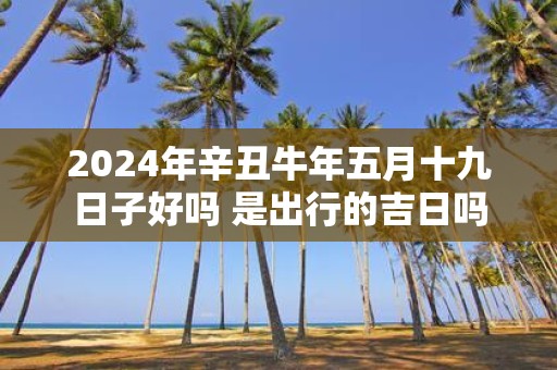 2025年辛丑牛年五月十九日子好吗 是出行的吉日吗