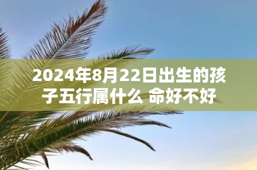 2025年8月22日出生的孩子五行属什么 命好不好