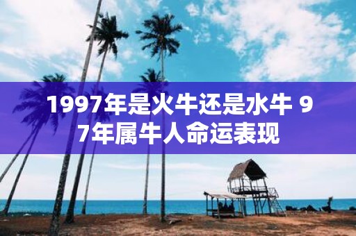 1997年是火牛还是水牛 97年属牛人命运表现