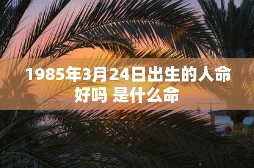 1985年3月24日出生的人命好吗 是什么命