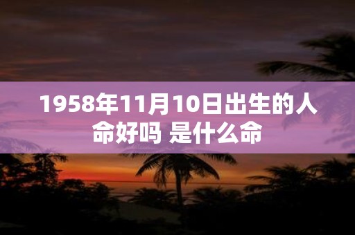 1958年11月10日出生的人命好吗 是什么命