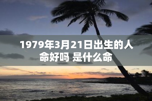 1979年3月21日出生的人命好吗 是什么命