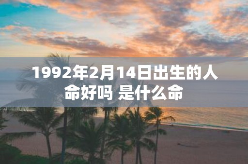 1992年2月14日出生的人命好吗 是什么命