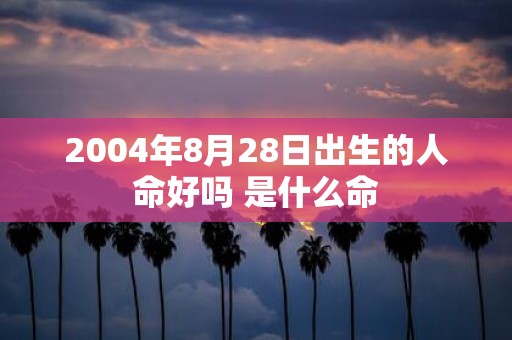 2004年8月28日出生的人命好吗 是什么命
