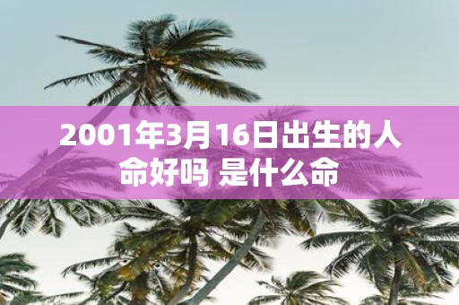 2001年3月16日出生的人命好吗 是什么命
