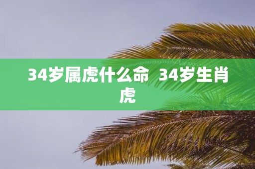 34岁属虎什么命 34岁生肖虎