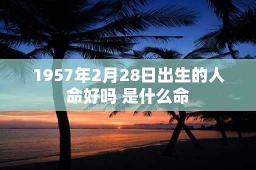 1957年2月28日出生的人命好吗 是什么命