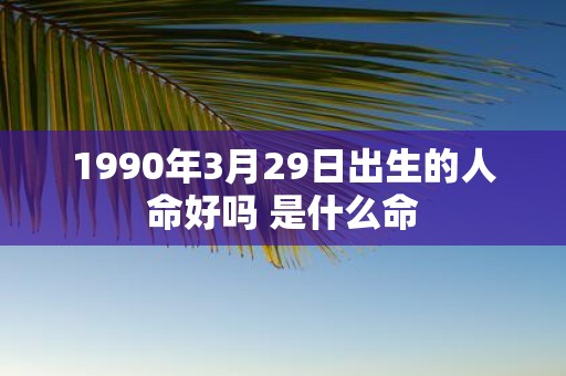 1990年3月29日出生的人命好吗 是什么命