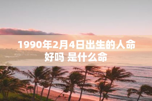 1990年2月4日出生的人命好吗 是什么命