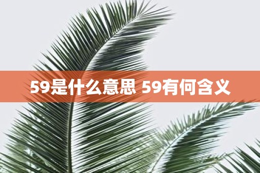 59是什么意思 59有何含义