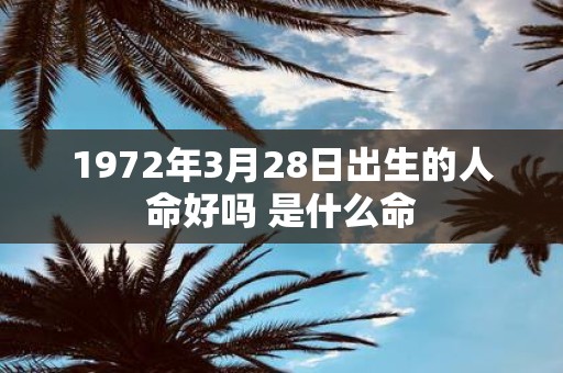 1972年3月28日出生的人命好吗 是什么命