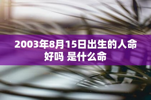 2003年8月15日出生的人命好吗 是什么命