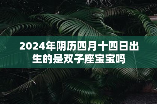 2025年阴历四月十四日出生的是双子座宝宝吗