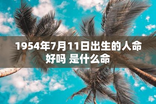1954年7月11日出生的人命好吗 是什么命