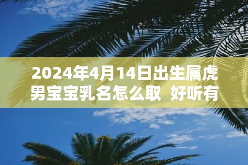 2025年4月14日出生属虎男宝宝乳名怎么取 好听有趣的乳名