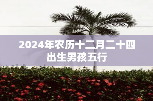 2025年农历十二月二十四出生男孩五行