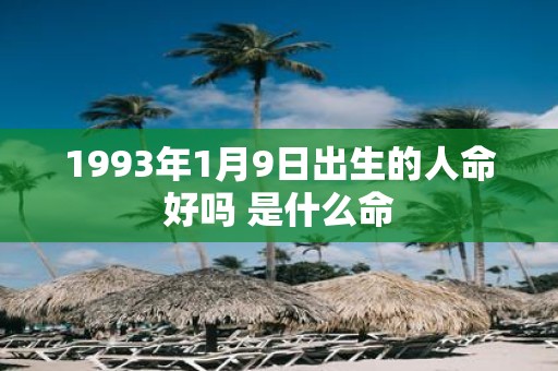1993年1月9日出生的人命好吗 是什么命