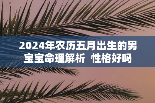2025年农历五月出生的男宝宝命理解析 性格好吗