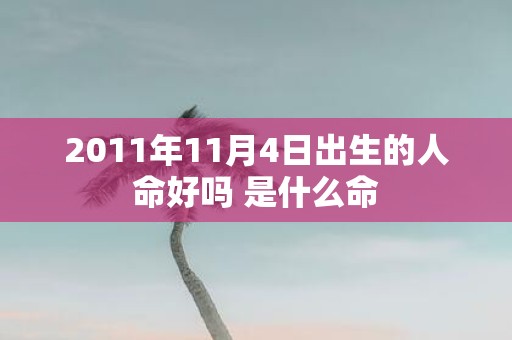 2011年11月4日出生的人命好吗 是什么命