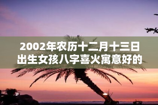 2002年农历十二月十三日出生女孩八字喜火寓意好的名字