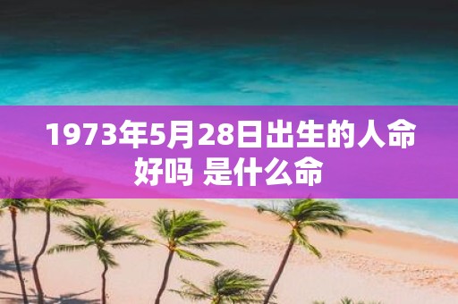 1973年5月28日出生的人命好吗 是什么命