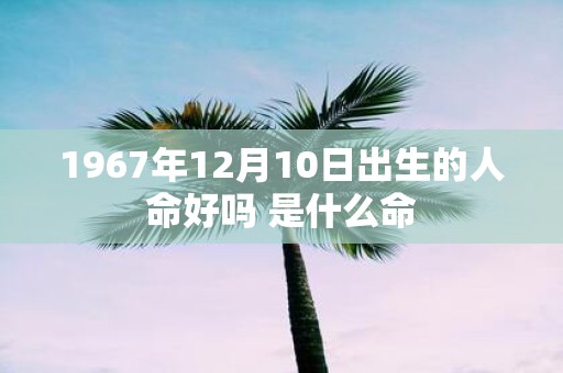 1967年12月10日出生的人命好吗 是什么命