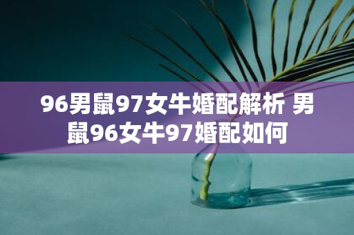 96男鼠97女牛婚配解析 男鼠96女牛97婚配如何