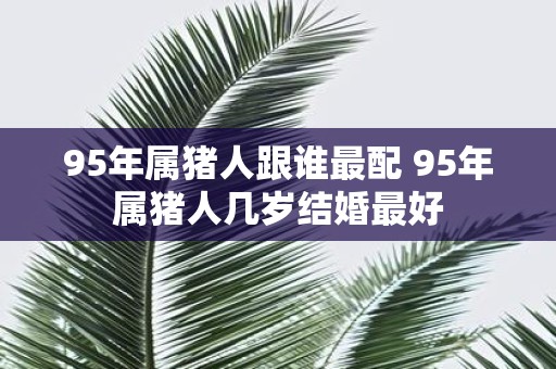 95年属猪人跟谁最配 95年属猪人几岁结婚最好