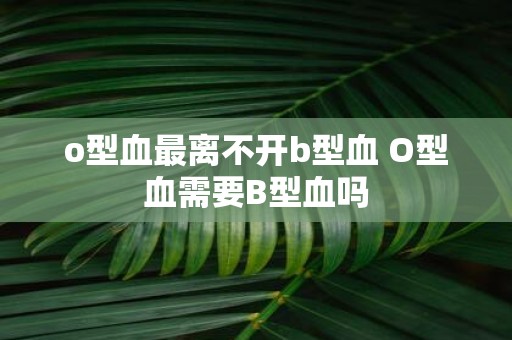 o型血最离不开b型血 O型血需要B型血吗