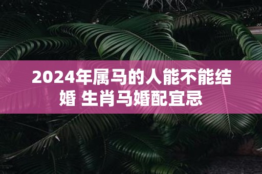 2025年属马的人能不能结婚 生肖马婚配宜忌