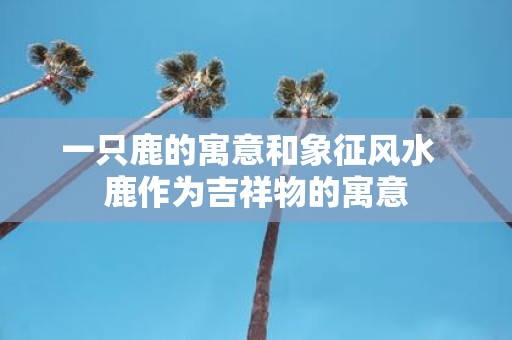 一只鹿的寓意和象征风水 鹿作为吉祥物的寓意