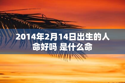 2014年2月14日出生的人命好吗 是什么命