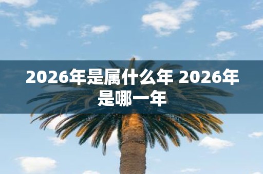 2026年是属什么年 2026年是哪一年