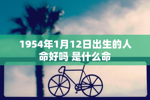 1954年1月12日出生的人命好吗 是什么命