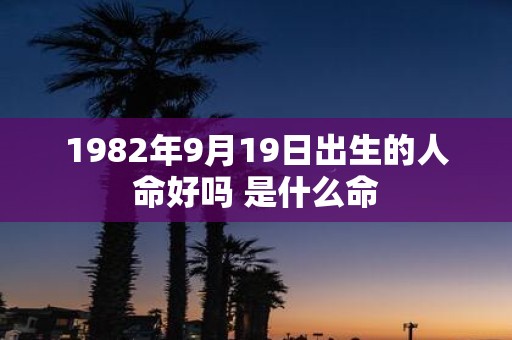 1982年9月19日出生的人命好吗 是什么命