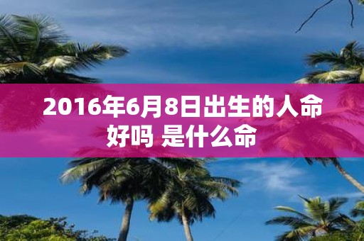 2016年6月8日出生的人命好吗 是什么命