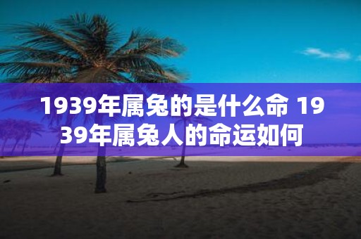 1939年属兔的是什么命 1939年属兔人的命运如何