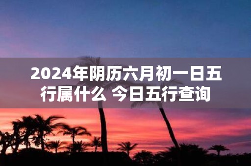 2025年阴历六月初一日五行属什么 今日五行查询