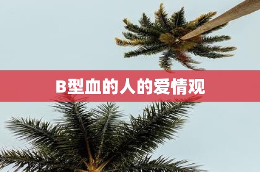 B型血的人的爱情观