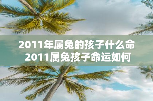 2011年属兔的孩子什么命 2011属兔孩子命运如何