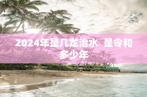 2025年是几龙治水 是令和多少年