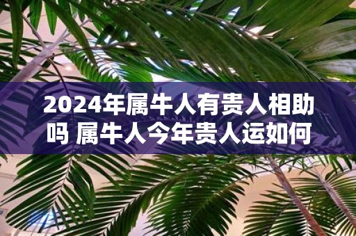 2025年属牛人有贵人相助吗 属牛人今年贵人运如何