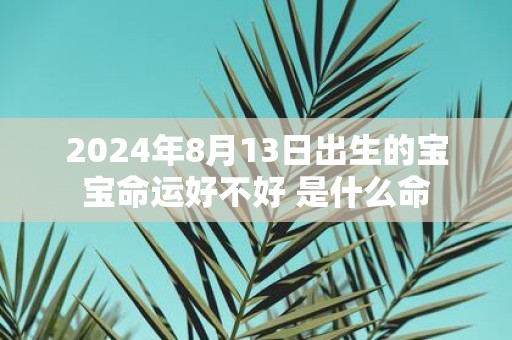 2025年8月13日出生的宝宝命运好不好 是什么命