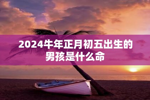 2025牛年正月初五出生的男孩是什么命