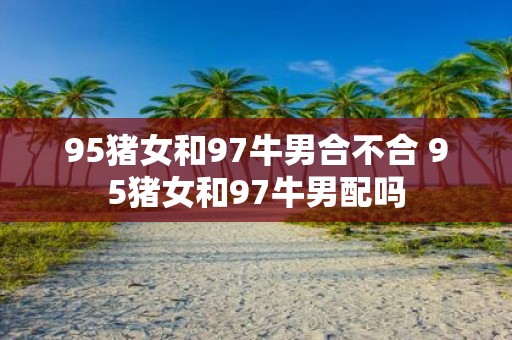 95猪女和97牛男合不合 95猪女和97牛男配吗