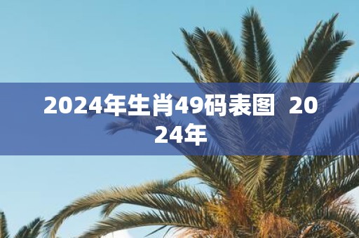 2025年生肖49码表图 2025年